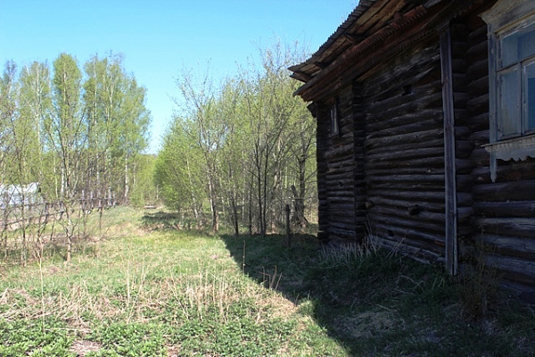 Дом в деревне Иванищево